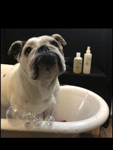 Load image into Gallery viewer, Dog Products