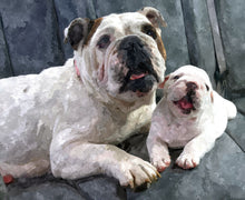 Load image into Gallery viewer, Dog Products